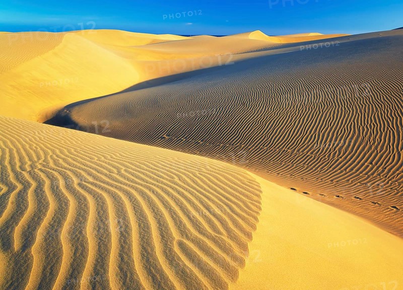 Sand dunes, Maspalomas, Playa del Ingles, Gran Canaria, Canary Islands, Spain