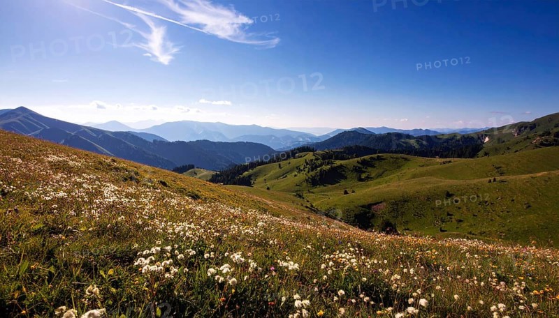 Fresh summer hilly Landscape with blooming Meadow, green plants, Blue Sky with cloudy sky, serene nature background, AI generated