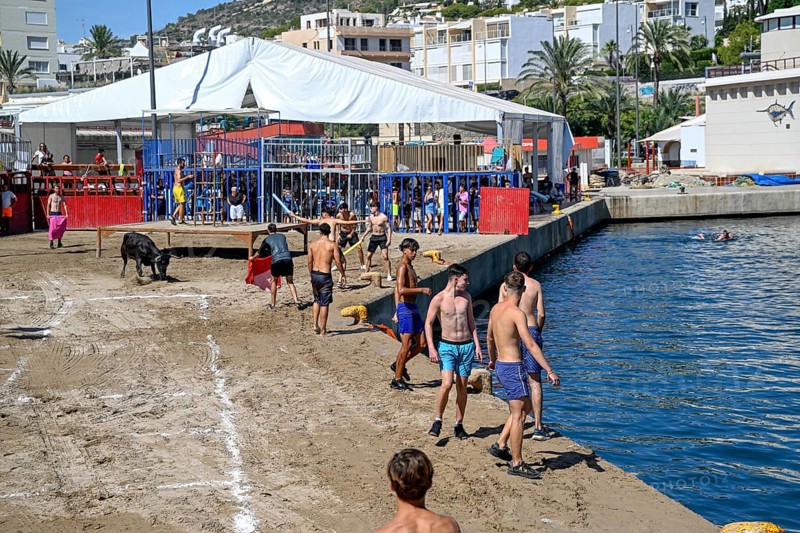 Bous a la Mar Fair, in English Bulls in the Sea, Bullfighting, Javea or Xàbia, Alicante Province, Comunidad Valenciana, Spain