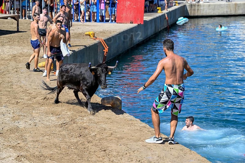 Bous a la Mar Fair, in English Bulls in the Sea, Bullfighting, Javea or Xàbia, Alicante Province, Comunidad Valenciana, Spain