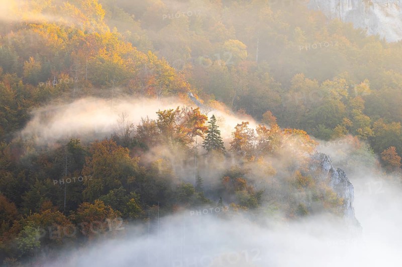 View from the Knopfmacherfelsen into the Danube valley, limestone rock, rock face, mixed forest, autumn colours, fog, autumn, Fridingen, Danube valley, Upper Danube nature park Park, Baden-Württemberg, Germany