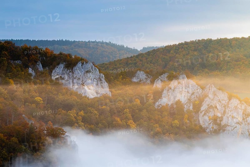 View from the Knopfmacherfels into the Danube valley, limestone rock, rock face, mixed forest, autumn colours, fog, autumn, Fridingen, Upper Danube nature park Park, Baden-Württemberg, Germany