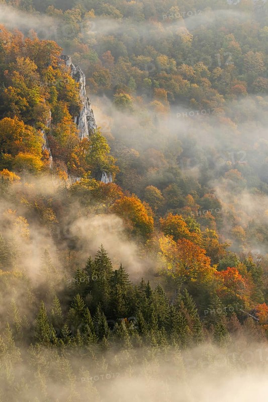 View from the Knopfmacherfelsen into the Danube valley, limestone rock, rock face, mixed forest, autumn colours, fog, autumn, Fridingen, Danube valley, Upper Danube nature park Park, Baden-Württemberg, Germany