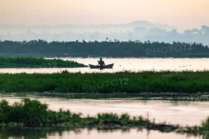 Fisherman in a rowing boat, silhouette, morning mood, Mabamba Swamp, Lake Victoria, Uganda
