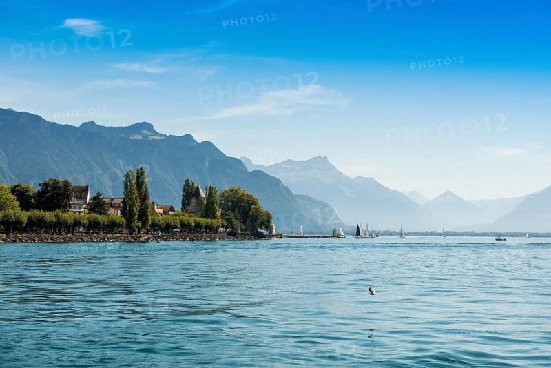 Panorama, lakeside town, Vevey, Lake Geneva, Lac Léman, Canton of Vaud, Switzerland