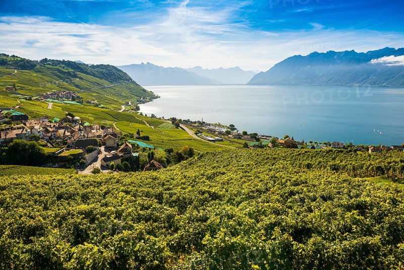 Picturesque village in the vineyards by the lake, Epesses, Lavaux, UNESCO World Heritage Site, Lake Geneva, Lac Léman, Canton of Vaud, Switzerland