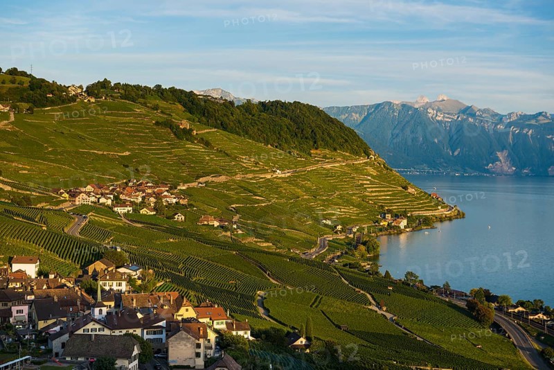 Picturesque village in the vineyards by the lake, Epesses, sunset, Lavaux, UNESCO World Heritage Site, Lake Geneva, Lac Léman, Canton of Vaud, Switzerland