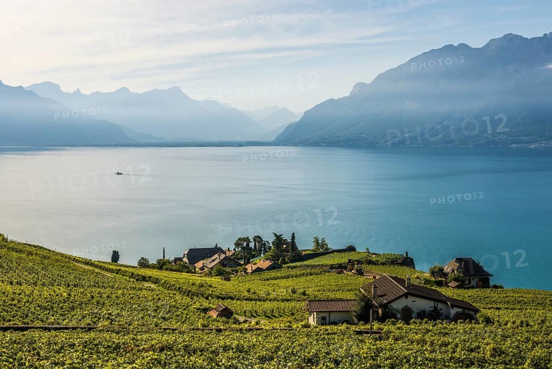 Picturesque village in the vineyards by the lake, Rivaz, Lavaux, UNESCO World Heritage Site, Lake Geneva, Lac Léman, Canton of Vaud, Switzerland