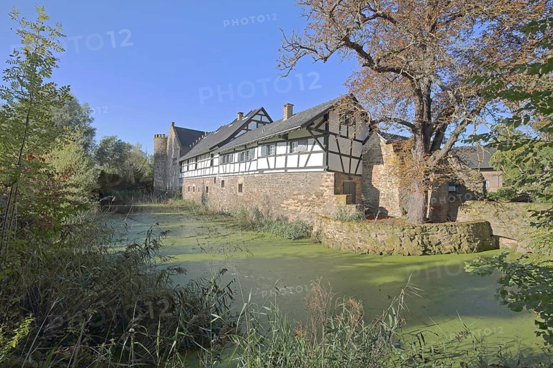 Clover castle built 14th century with moat, moated castle, half-timbered house, pond, Weidesheim, Euskirchen, Vordereifel, Eifel, North Rhine-Westphalia, Germany