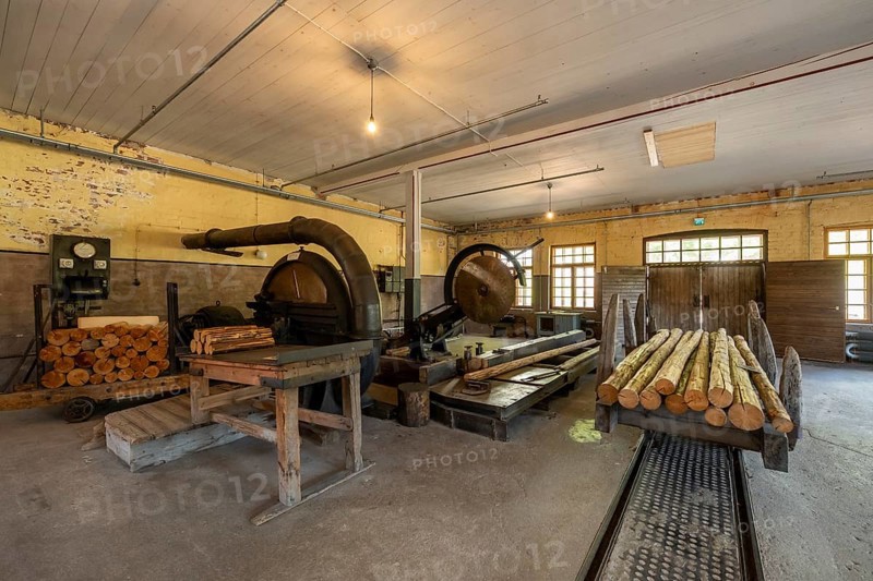 Historic circular saws and tree trunks, former paper factory and mill for the production of groundwood pulp board, UNESCO World Heritage Site Verla Factory Village, Maailmanperintökohde Verlan puuhiomo ja pahvitehdas, Verla Rapids, Kymenlaakso, near Kouvola, Finland