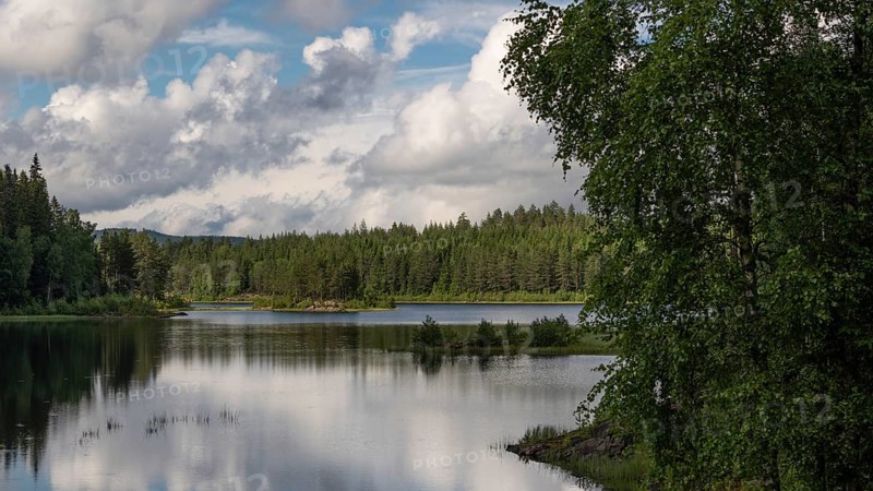 Quiet forest lake, Eidsvoll, Akershus, Norway
