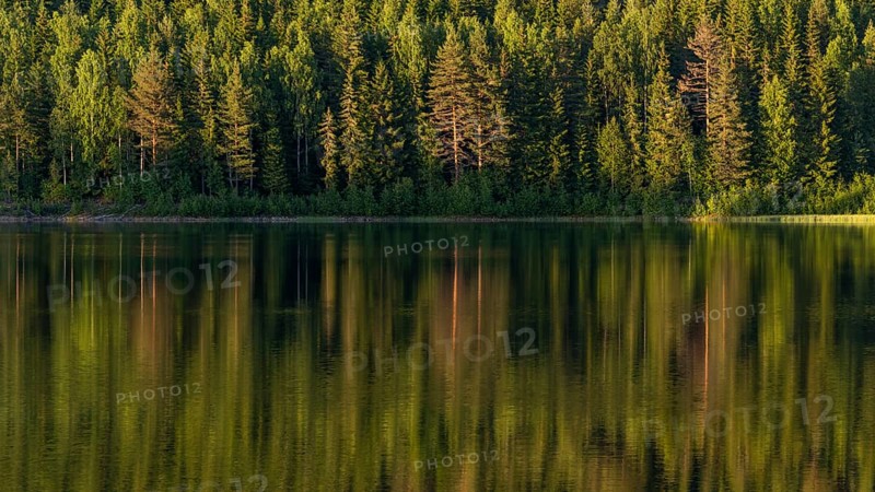 Reflecting water surface, forest lake, sunset, Akershus, Norway