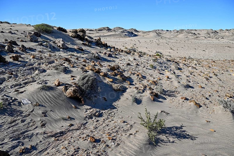Wüstenlandschaft bei Pomona, Diamentensperrgebiet, bei Lüderitz, Region Karas, Namibia