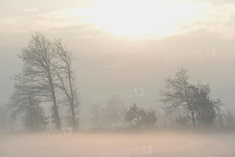 Winterlandschaft im Licht der Morgensonne, aufsteigender Bodennebel über einem Feld, Nordrhein-Westfalen, Deutschland