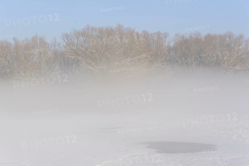 Winterlandschaft, Bodennebel steigt vor schneebedeckten Bäumen auf, blauer Himmel, Nordrhein-Westfalen, Deutschland