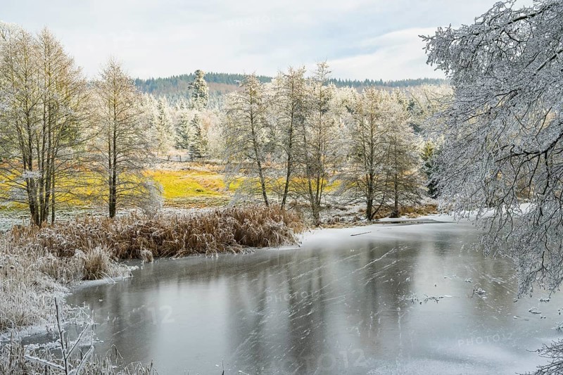 A frozen pont in a valley surrounded by a mixed forest with norway spruce (Picea abies) and European beech (Fagus sylvatica) white from roarfrost, on a sunny day in winter, Bavaria, Germany