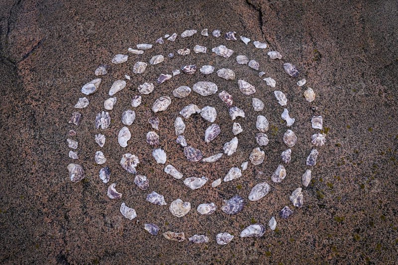 Shell mandala, circle made of shells on a granite rock, Bohus granite, Resö island, Bohuslän, Skagerrak, Sotenäs, Västra Götalands län, Sweden