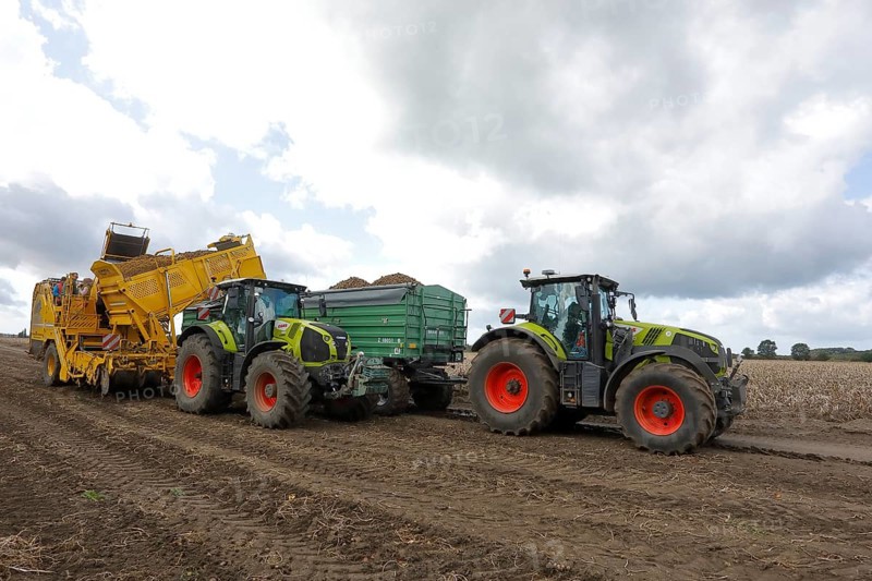 Agricultural harvesting of potatoes with potato harvester ROPA Keiler 2 in front of tractor Claas Axion 830, Claas tractor with two trailers, Baltic Sea island Fehmarn, East Holstein, Schleswig-Holstein, Germany