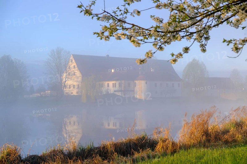 Morning atmosphere, fog at the Fischhof, Tirschenreuth, Upper Palatinate, Bavaria, Germany
