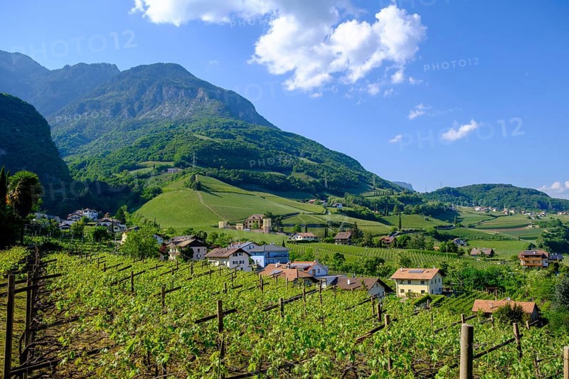View over Tramin, South Tyrolean Wine Road, South Tyrol, Italy