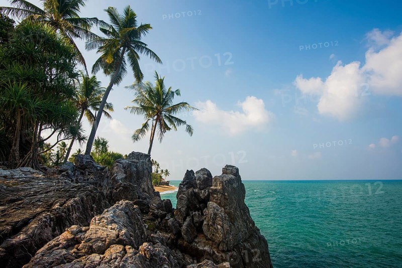 Rocks and coconut palms, Coconut Palm Beach, Sala Dan, Ko Lanta, Koh Lanta, Krabi Province, Southern Thailand, Andaman Sea, Thailand