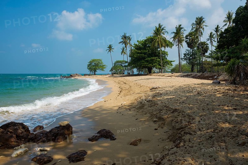 Sandy beach beach and coconut palms, Secret Beach, Sala Dan, Ko Lanta, Koh Lanta, Krabi Province, Southern Thailand, Andaman Sea, Thailand