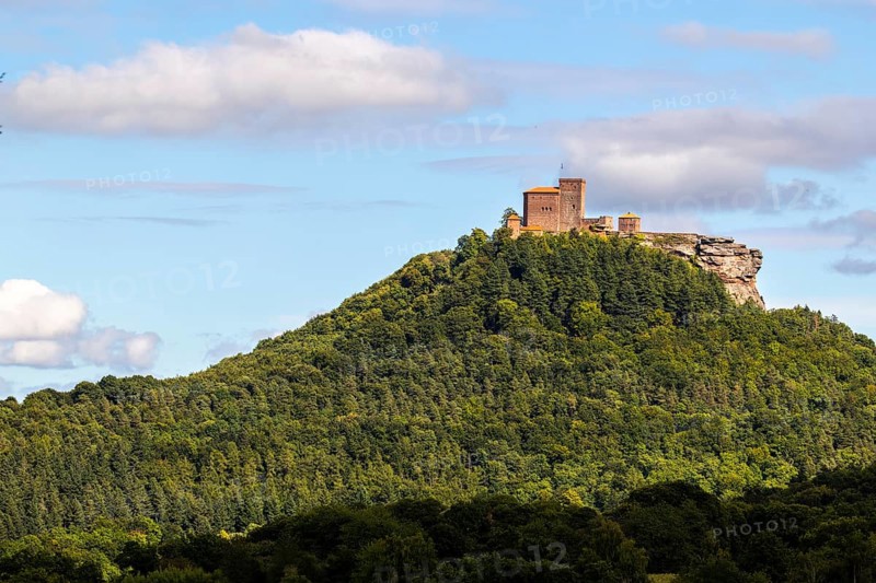 Brug Trifels, Annweiler, mixed forest, sandstone rock, Pfläzerwald, Rhineland-Palatinate, Germany