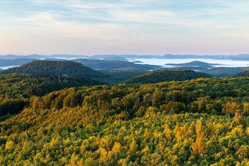 View over the Palatinate Forest, mixed forest, dawn, fog, Luipoldsturm, Hermansbergdorf, Pfläzerwald, Rhineland-Palatinate, Germany