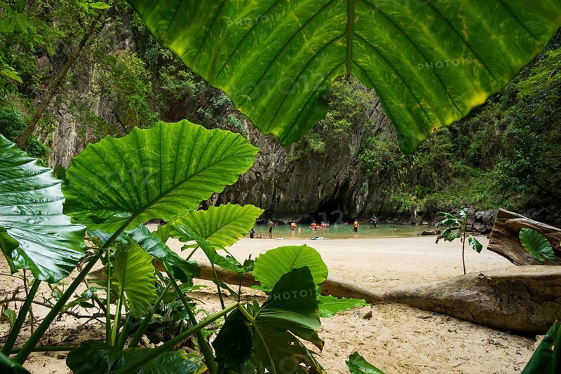 Sandy beach beach with cave in the rainforest, Emerald Cave, Koh Mook, Trang Province, Southern Thailand, Andaman Sea, Thailand