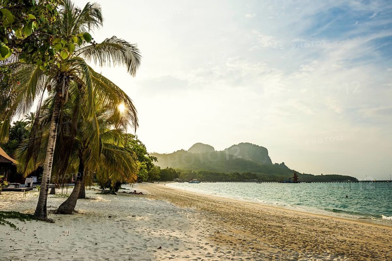 White sandy beach and coconut palms, sunset, Pearl Beach, Koh Mook, Trang Province, Southern Thailand, Andaman Sea, Thailand