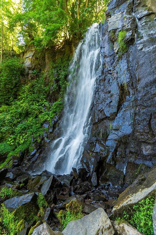 Vaucoux waterfall cascades gracefully over dark rocks, surrounded by lush greenery, Auvergne Volcanoes Regional Park, Puy de Dome., Auvergne-Rhone-Alpes, France