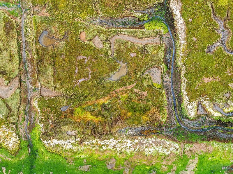 Top Down over River Hamble Mud at low tide from drone, Swanwick, Southampton, Hampshire, England, United Kingdom