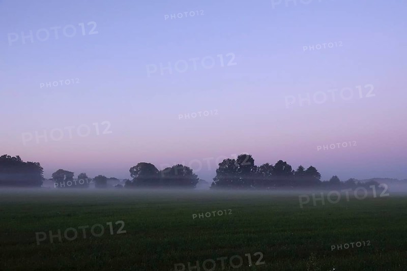 Landscape with morning fog, Summer, Saxony, Germany