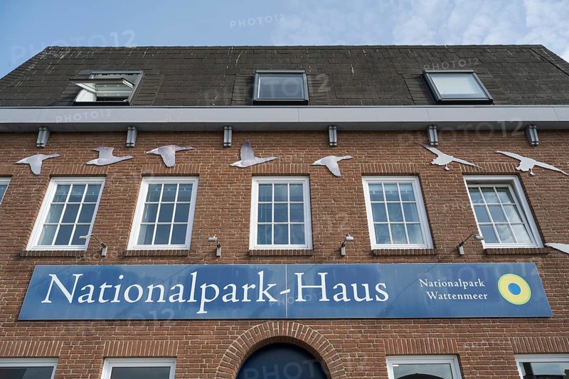National Park House, harbour, Husum, North Frisia, North Sea, Schleswig-Holstein, Germany