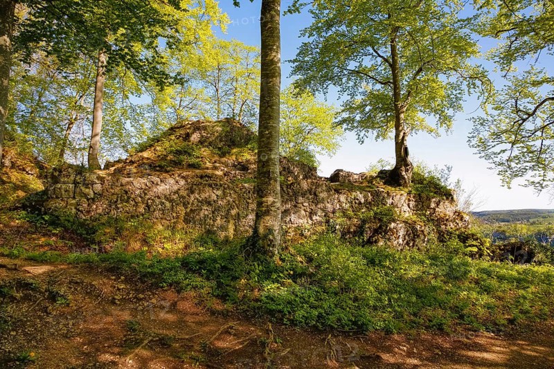 Ruin of Alter Lichtenstein near Lichtenstein Castle, eaves of the Swabian Alb, trees, deciduous forest, Honau, municipality of Lichtenstein, Baden-Württemberg, Germany