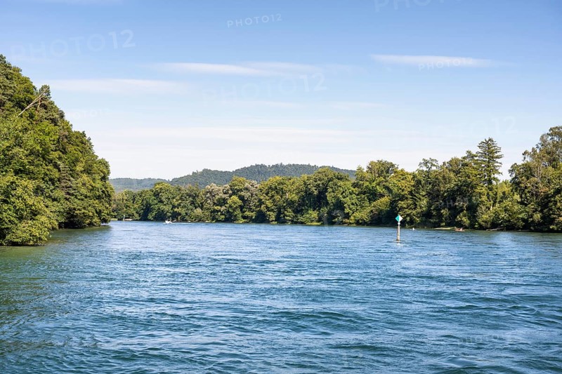 View over the Rhine, High Rhine surrounded by forests, Canton Thurgau, Switzerland