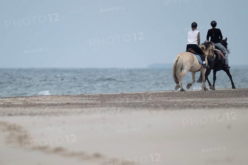 Two riders on the beach, near Hvide Sande, North Sea, Denmark