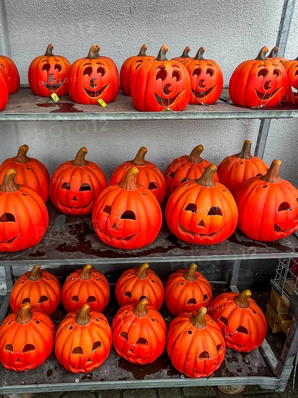 Mülheim, North Rhine-Westphalia, Germany - Decorative pumpkins for Halloween on 31 October were already on sale in a shop at the beginning of August