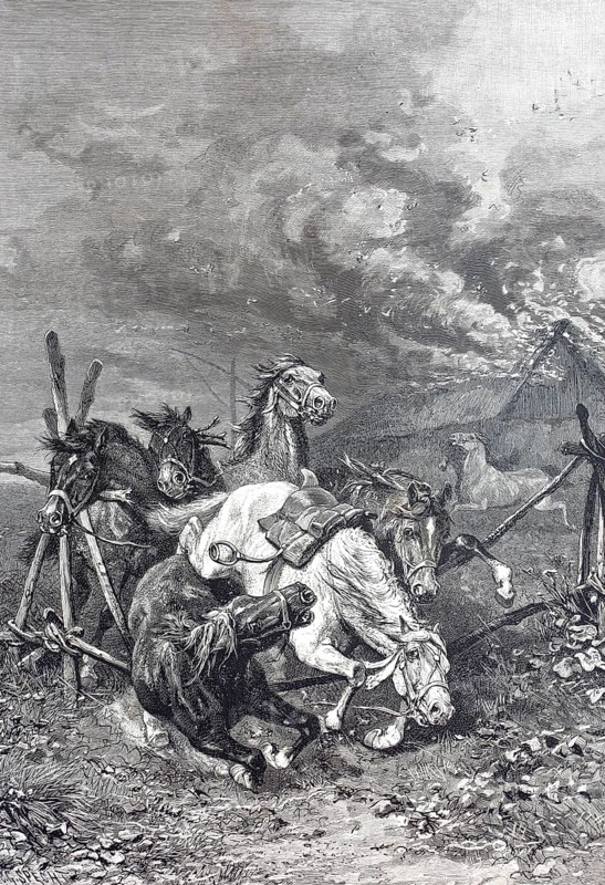 Horses fleeing from a fire at a farmstead in the Hungarian Puszta, Hungary, digitally restored reproduction of an old original, historical, exact date unknown