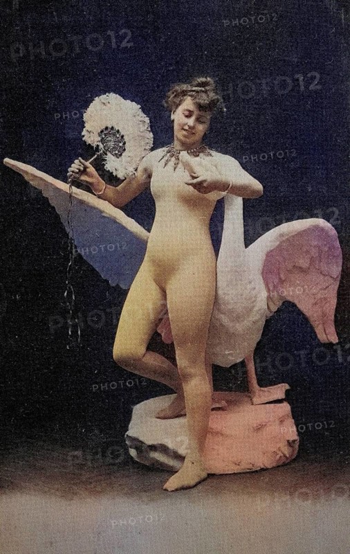 Female nude from around 1899, erotic postcard, Playgirl, A standing woman with a fan next to a swan in front of a blue background, coloured, reproduction from a photo around the turn of the century, historical, digitally restored reproduction of an old original, exact date unknown