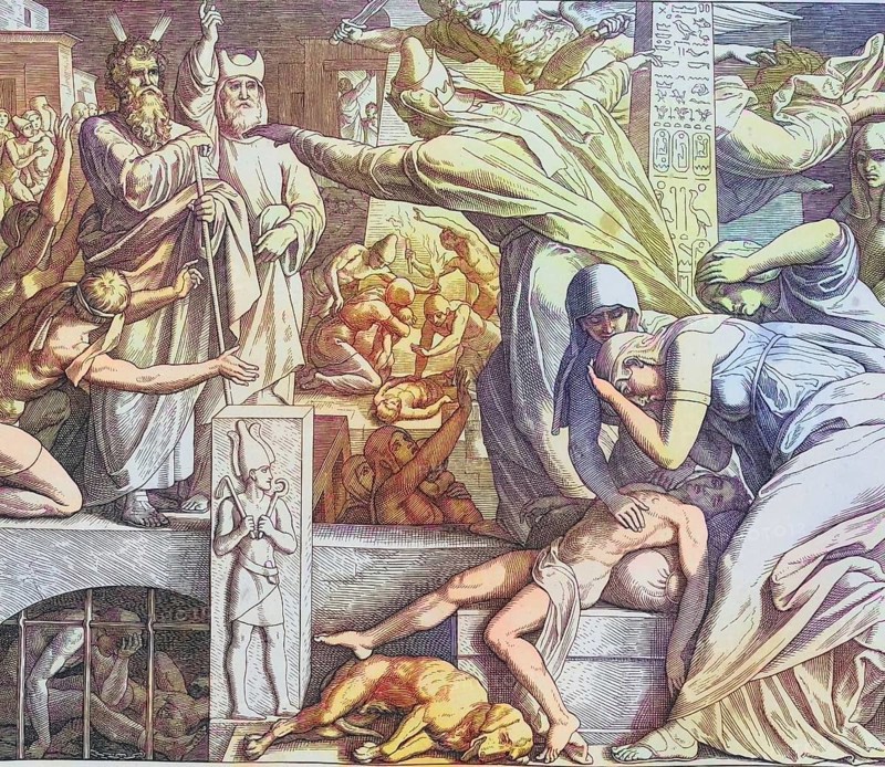 Biblical History, The Killing of the Firstborn of Egypt, digitally enhanced reproduction of a wood engraving by Julius Schnorr von Carolsfeld, historical, c. 1860, exact date unknown
