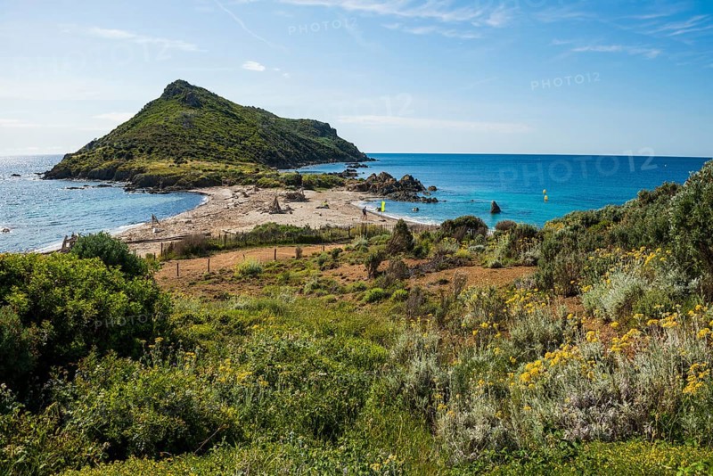 Wild beach, Sentier du littoral, Plage Ranc, Cap Taillat, Saint Tropez, Var, French Riviera, Provence-Alpes-Cote d'Azur, Cote d Azur, France