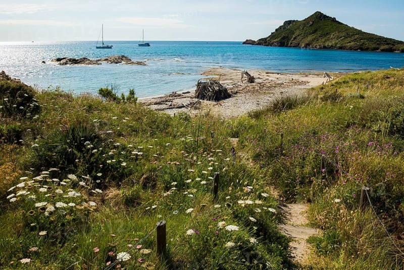 Picturesque coastal hiking trail and wild beach, Sentier du littoral, Plage Ranc, Cap Taillat, Saint Tropez, Var, French Riviera, Provence-Alpes-Cote d'Azur, Cote d Azur, France