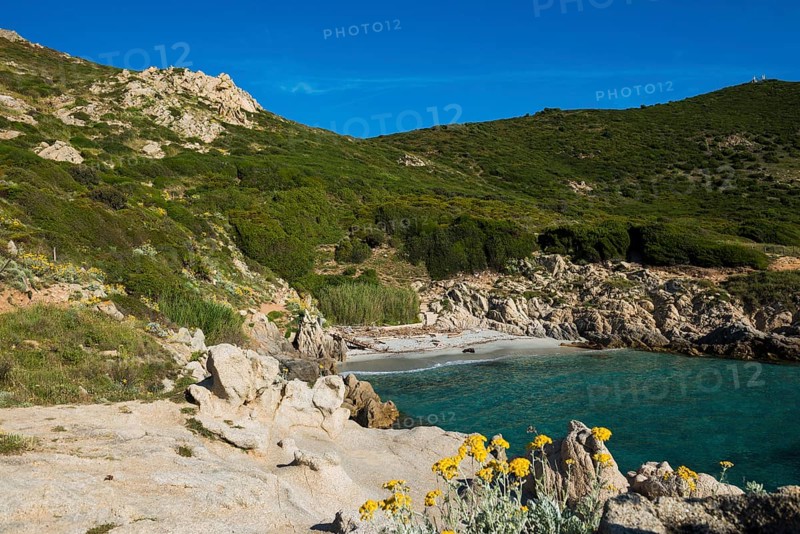 Picturesque hiking trail on the coast, Sentier du littoral, Cap Camarat, Saint Tropez, Var, French Riviera, Provence-Alpes-Cote d'Azur, Cote d Azur, France