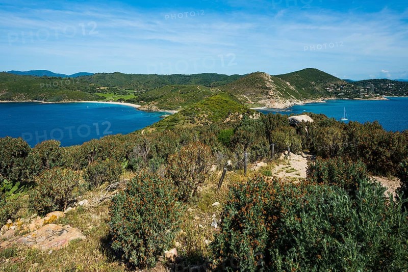 Picturesque hiking trail on the coast, Sentier du littoral, Plage Ranc, Cap Taillat, Saint Tropez, Var, French Riviera, Provence-Alpes-Cote d'Azur, Cote d Azur, France
