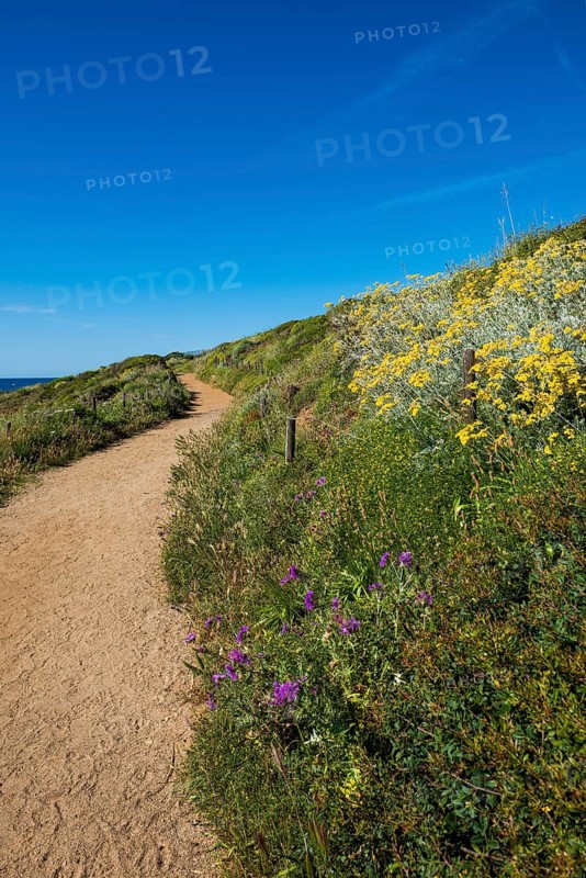 Picturesque hiking trail on the coast, Sentier du littoral, Cap Taillat, Saint Tropez, Var, French Riviera, Provence-Alpes-Cote d'Azur, Cote d Azur, France