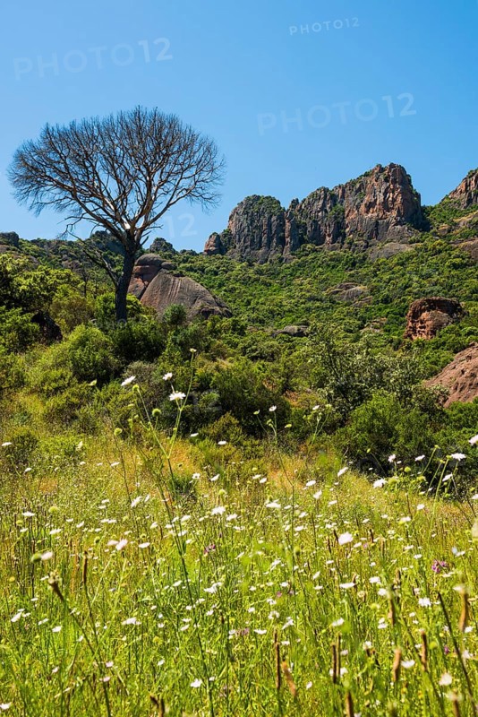 Rocher du roquebrune, Roquebrune-sur-Argens, near Saint-Raphaël, Massif de l'Esterel, Esterel Mountains, Département Var, Cote d'Azur, Provence-Alpes-Côte d'Azur, France