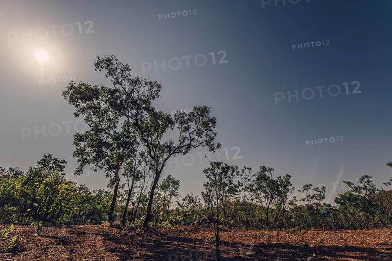 Bushfires in the Australian outback