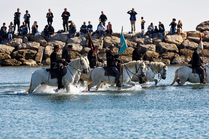 Guardians of the Camargue, traditional shepherds riding through water, rider on Camargue horse, pilgrimage, procession by the sea, Saintes-Maries-de-la-Mer, Camargue, France