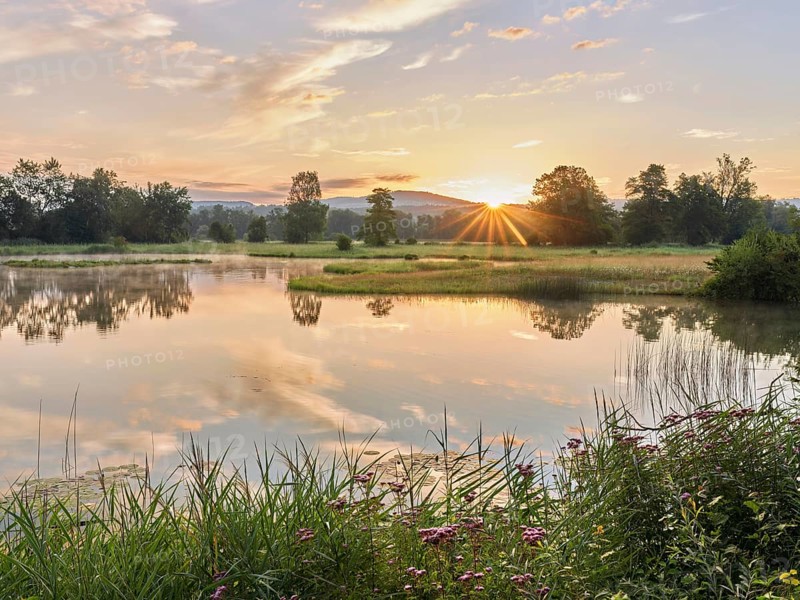 Sunrise at a pond in the Schoren nature reserve, Mühlau, Freiamt, Canton Aargau, Switzerland